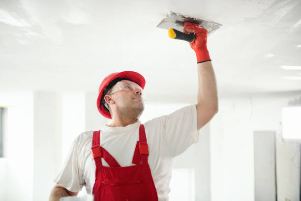 Best Residential Mold Inspection & Testing  in King, NC