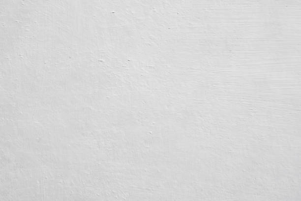 Trusted King, NC Mold Removal Experts