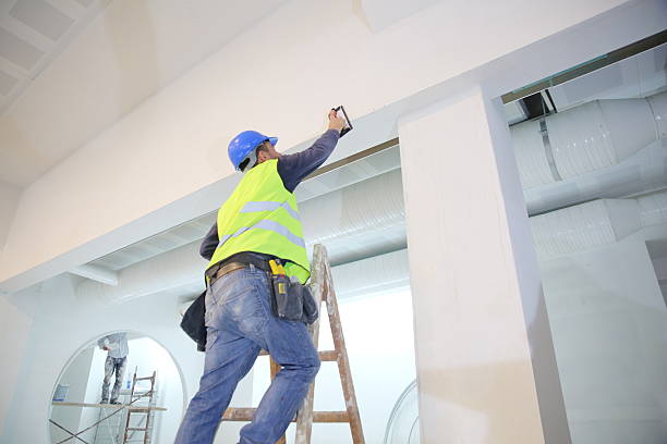 Best Basement Mold Removal  in King, NC